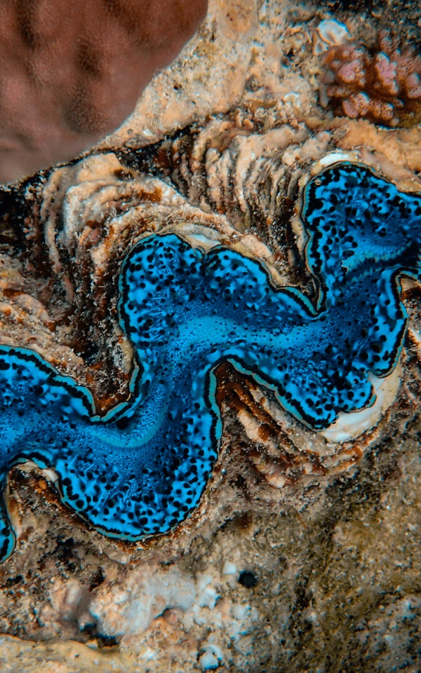 Your Guide to AI-Powered Email Marketing